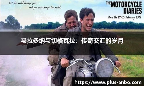 安博体育登录入口